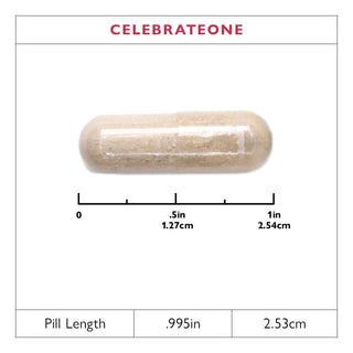 CelebrateONE Bariatric One A Day Multivitamin, Iron Free